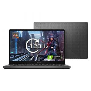 ASUS ROG Zephyrus G14 GA401IU 14" Full HD 120Hz Thin Bezel Gaming Laptop (AMD Ryzen 7 4800HS, Nvidia GeForce GTX 1660Ti 6GB Max-Q Graphics, 512G PCI-e SSD, 16GB RAM, Windows 10), Grey
