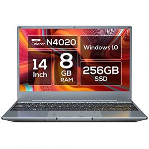 Vastking 14” Windows 10 Laptop Computer, 8GB RAM 256GB SSD, Celeron N4020, up to 2.8 GHz, FHD 1920 x 1080 Display, Compact Design, 5G WiFi, NumberPad, Type C, Supports 128GB SD Card